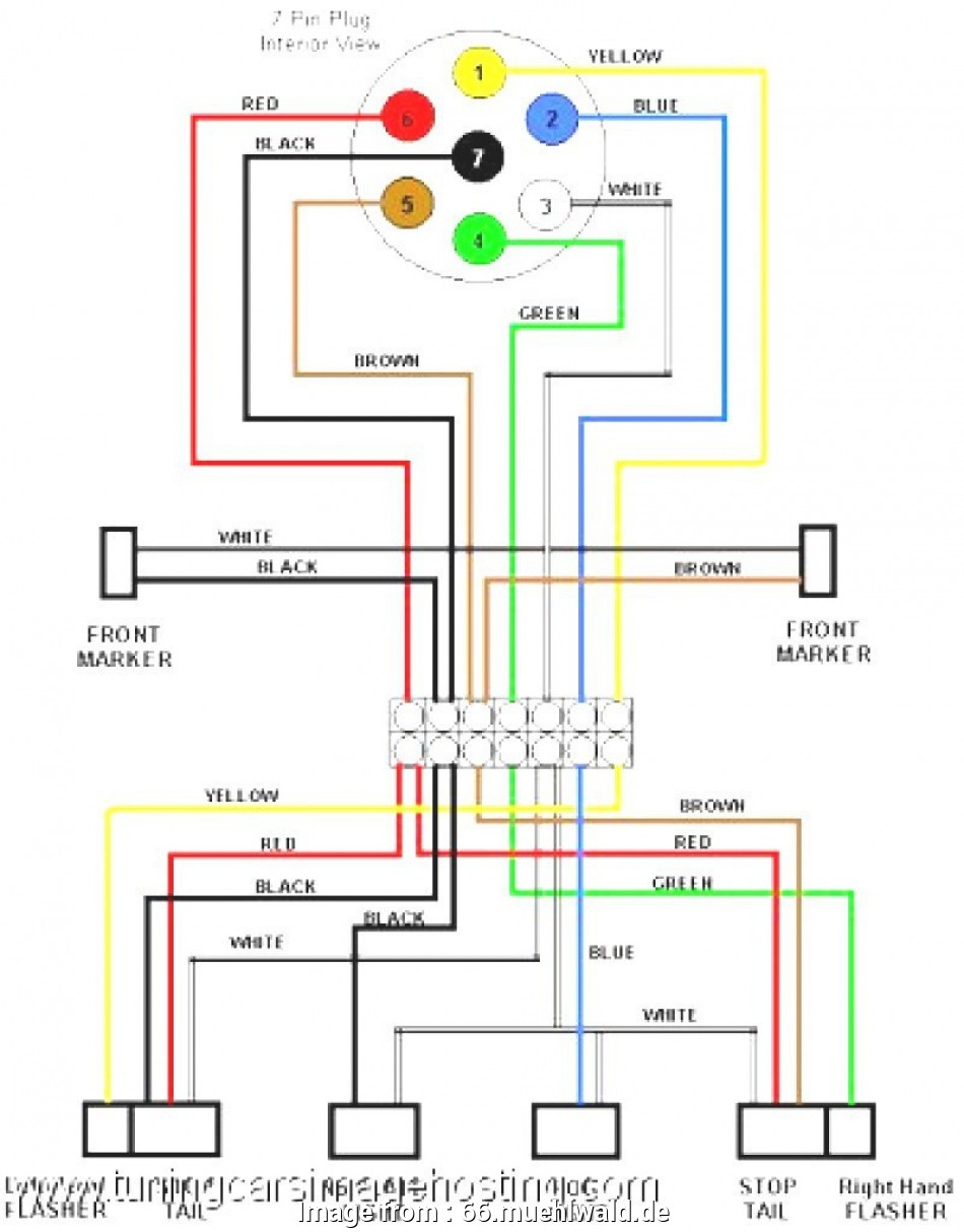 2004 Dodge Ram 1500 Trailer Wiring Diagram Wiring Diagram