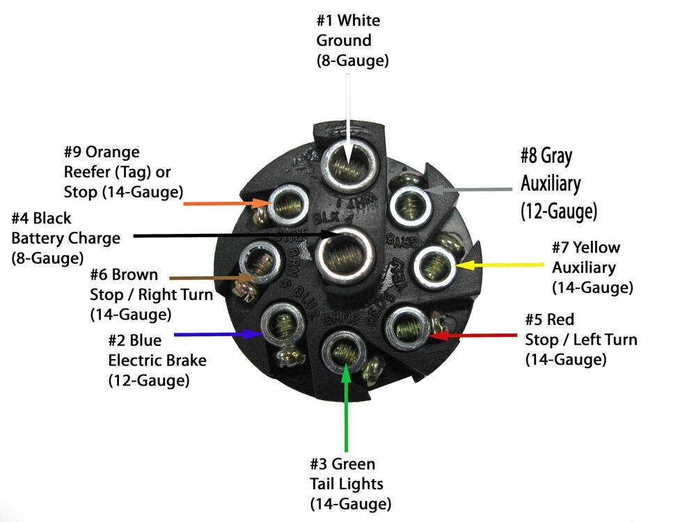 7 Pin Female Trailer Plug Wiring Diagram
