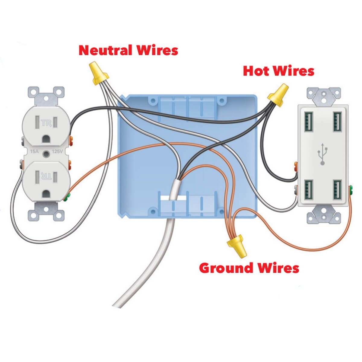 Beginner Residential Electrical Outlet Wiring Diagram Database