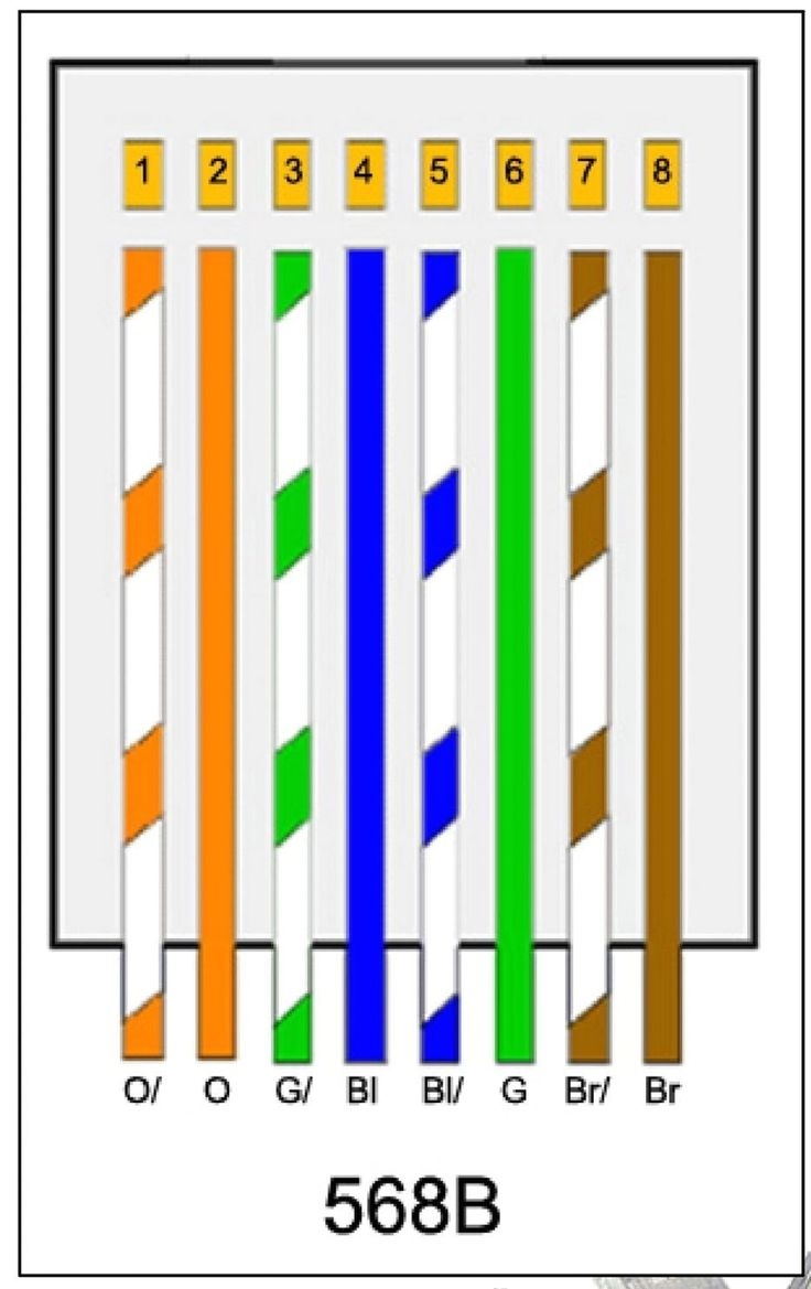 Cat6 Cable Wiring Diagram Pdf Laceged
