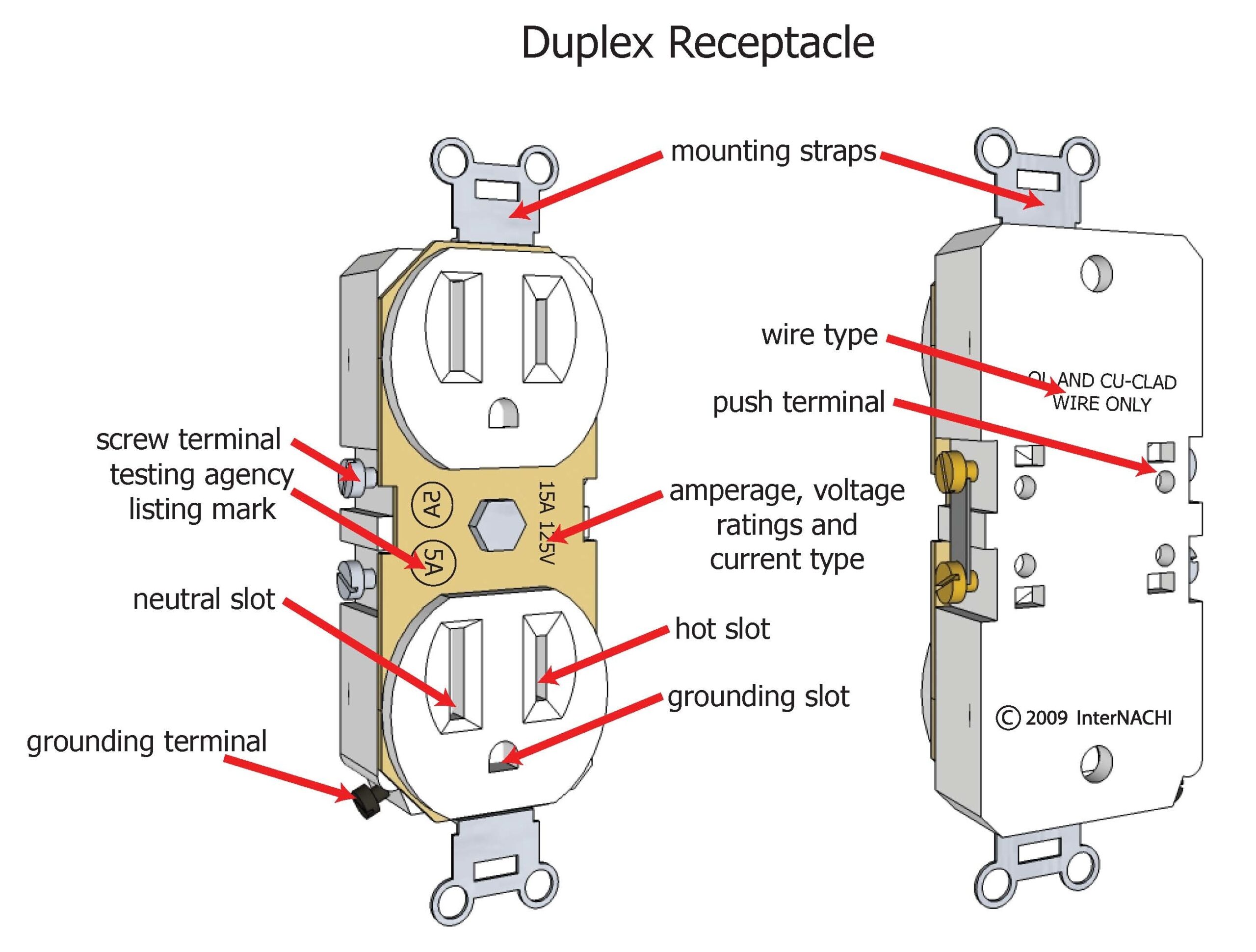 Duplex Receptacle Wiring Diagram Herbally