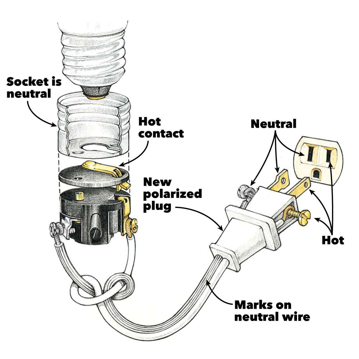 Electrical Plug Wiring Diagram