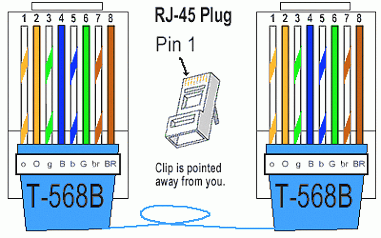 Extension Cord Wiring Diagram Ethernet