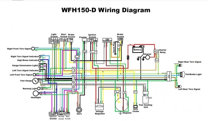Gy6 150 Wiring Diagram Diagrams Schematics And 150Cc Hbphelp Me New 