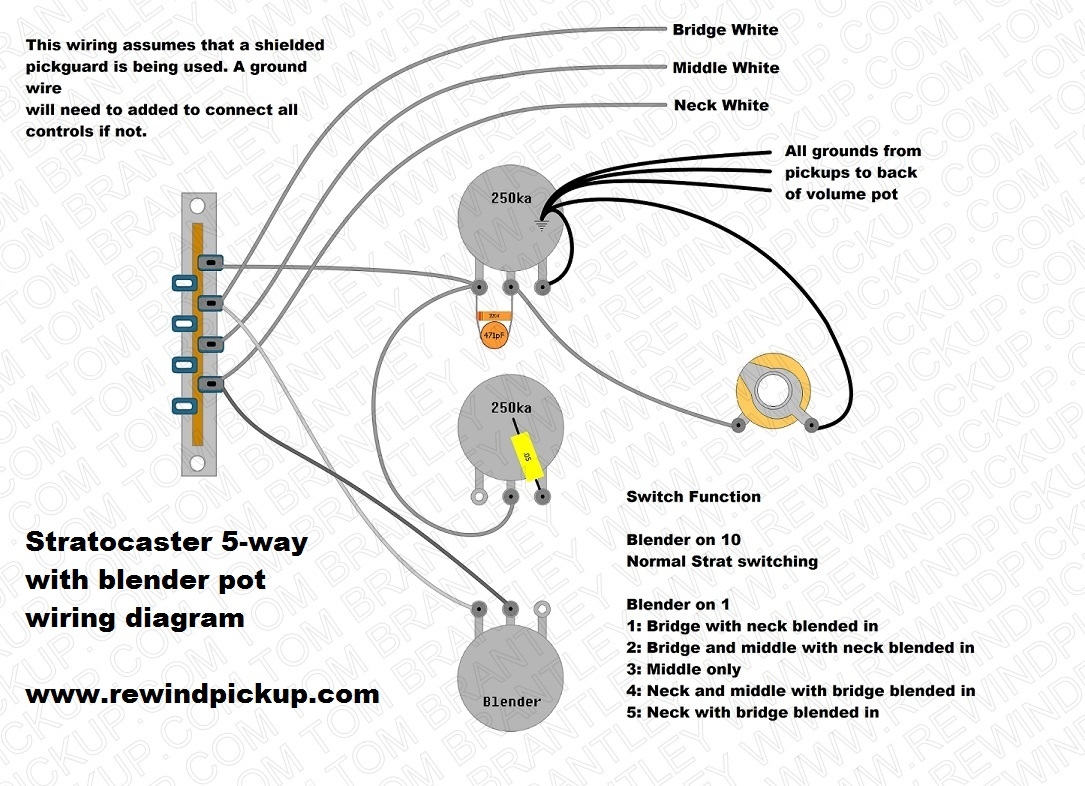Hss Strat Wiring Diagram Blender Wiring Diagram Pictures