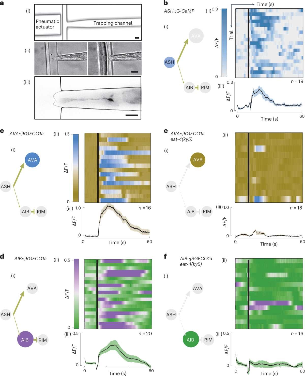 JD 111 1983 Wiring Diagram Guide JD 111 1983 Wiring Diagram Guide