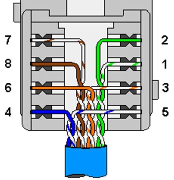 Rj45 Female Connector Wiring Diagram