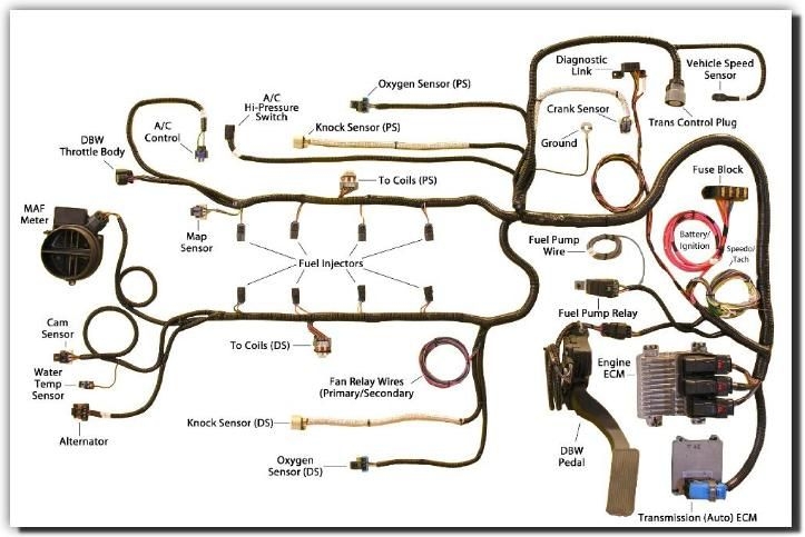 Simple Ls Wiring Harness Diagram
