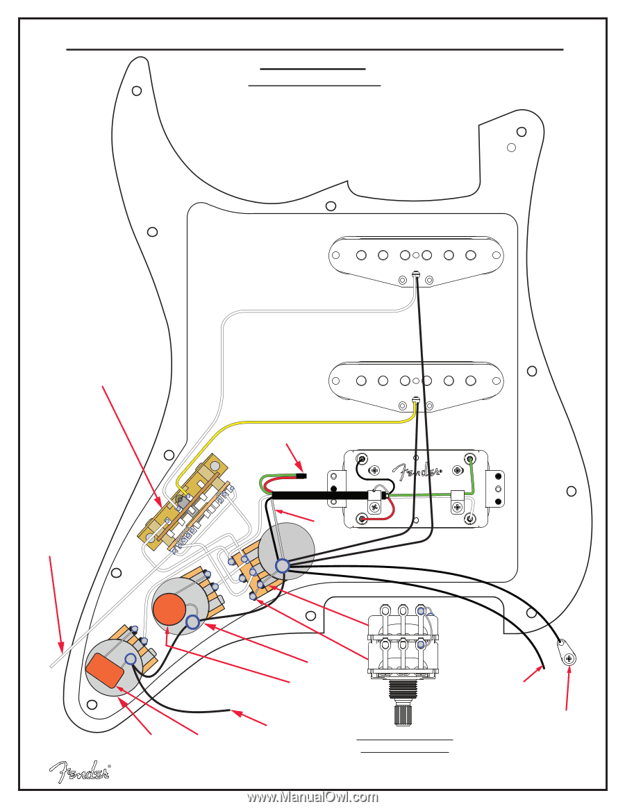 Standard Stratocaster Wiring Diagram Greenced