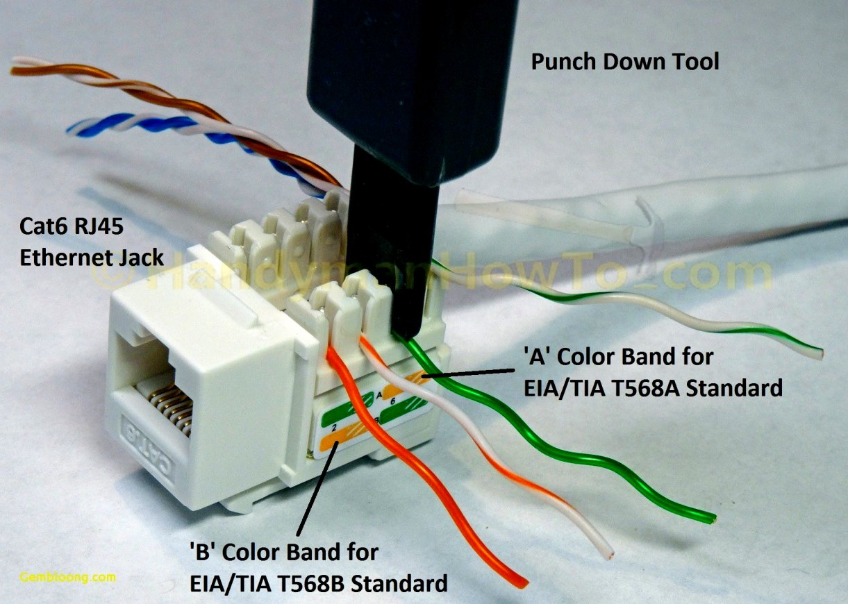 T568A Vs T568B Wiring Standards Differences T568A Wiring Diagram 