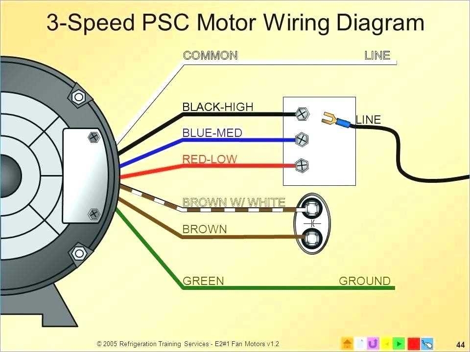 The Ultimate Guide To Wiring Diagrams For Multi Speed Motors