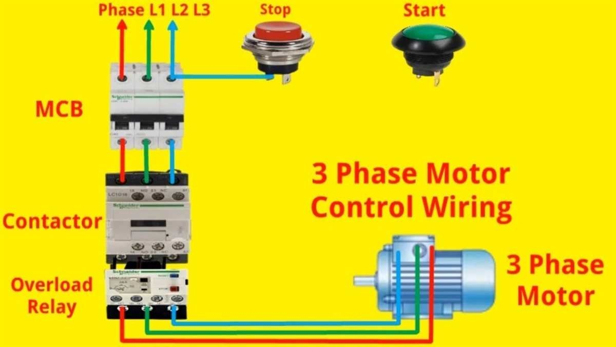 Understanding The Motor Starter Wiring Diagram For Start Stop Control