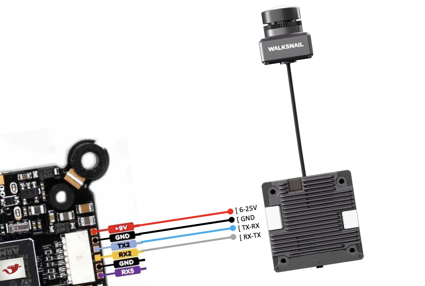 VTX Wiring Diagram For Walksnail Avatar Flying Squirrel