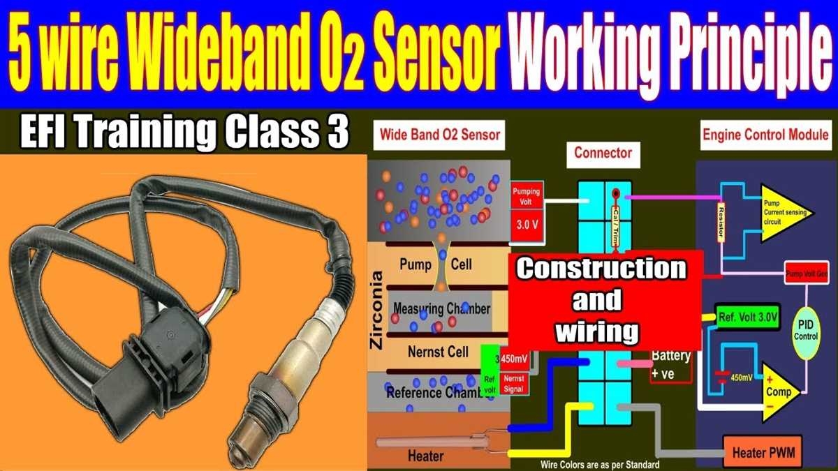 Wiring Diagram For 5 wire Lambda Sensor