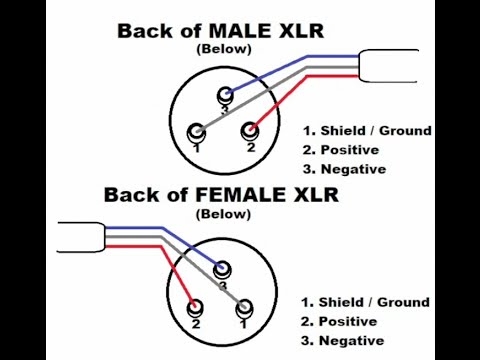Xlr Female Wiring Diagram