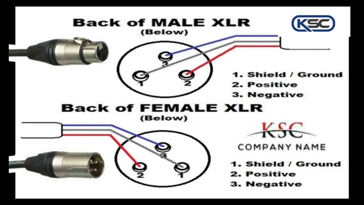 XLR To XLR Wiring Diagram Guide And Tips