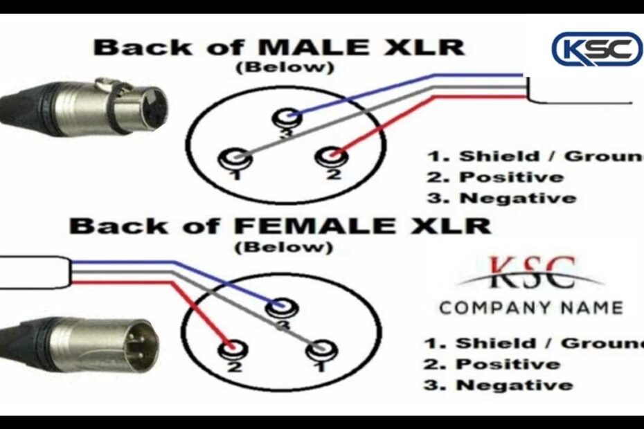 XLR To XLR Wiring Diagram Guide And Tips